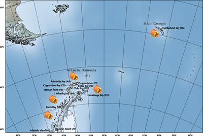 Both high and low dispersal? Apparently contradictory genetic patterns in the Antarctic littorinid gastropod Laevilacunaria antarctica